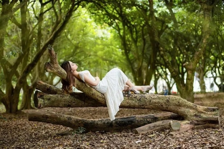 2025年時点で押さえておきたい販売プラットフォームの特徴